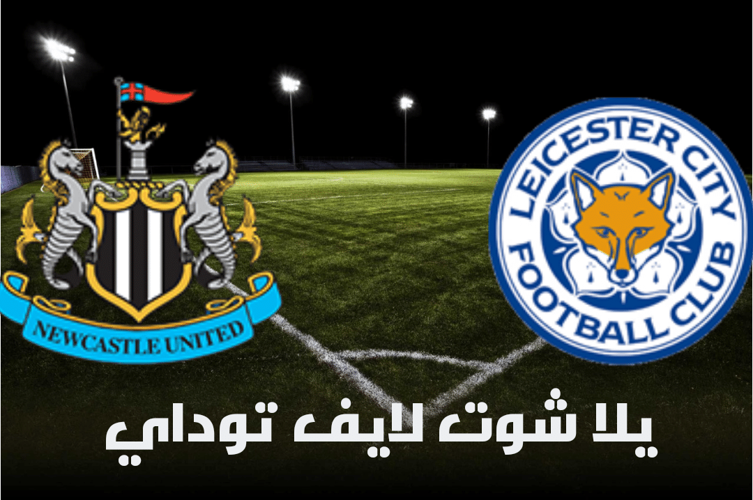 مباراة ليستر سيتي ونيوكاسل في الدوري الإنجليزي