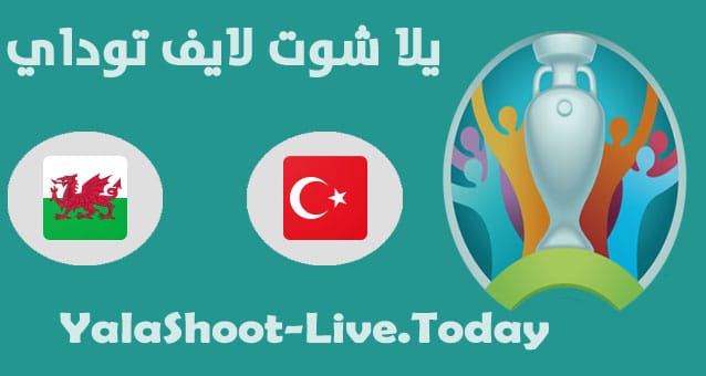 مباراة تركيا وويلز
