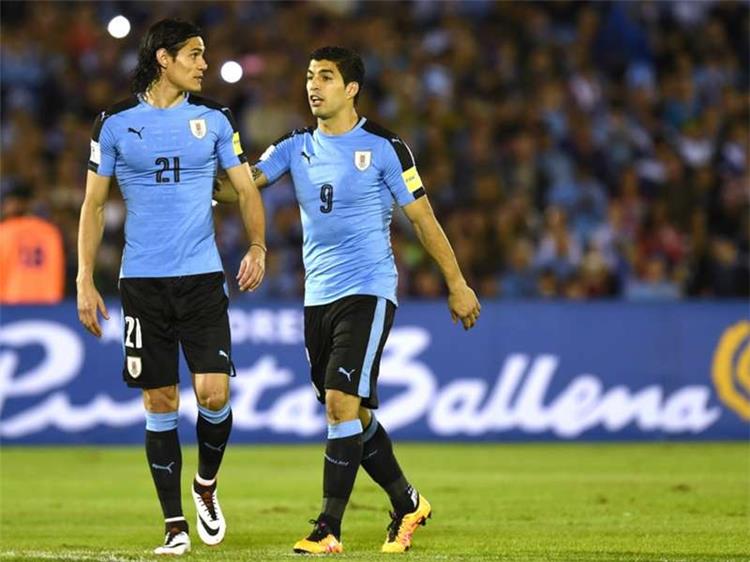 موعد مباراة أوروجواي وبوليفيا في تصفيات كأس العالم موعد مباراة أوروجواي وبوليفيا في تصفيات كأس العالم