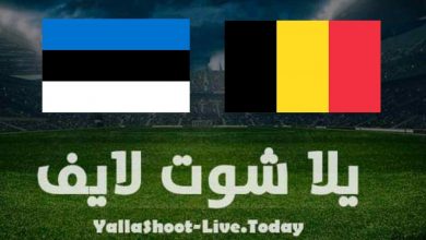 نتيجة مباراة بلجيكا وإستونيا في تصفيات كأس العالم