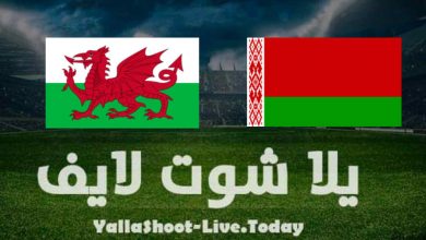 موعد مباراة روسيا البيضاء وويلز في تصفيات كأس العالم