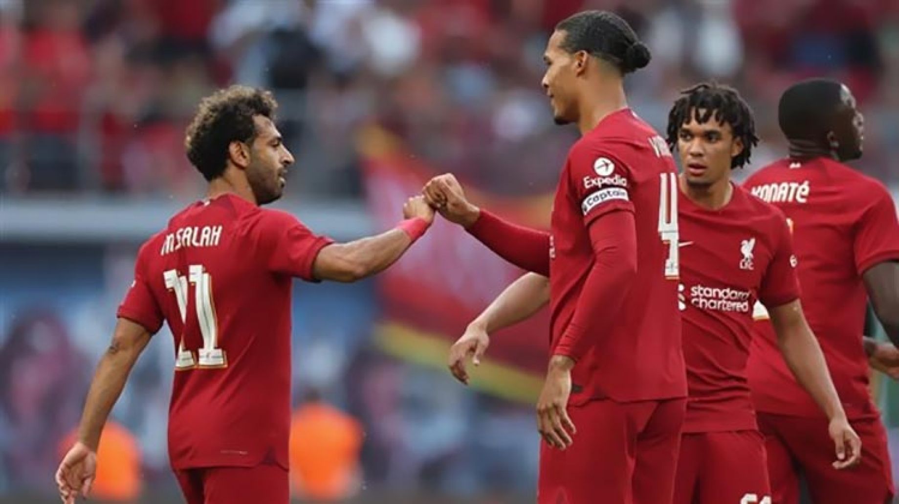 موعد وتفاصيل مباراة ليفربول وبرايتون اليوم 1-10-2022 في الدوري الإنجليزي موعد مباراة ليفربول وبرايتون