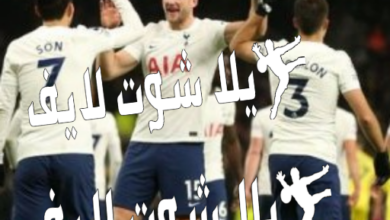 موعد مباراة توتنهام أمام برينتفورد 26/12/2022