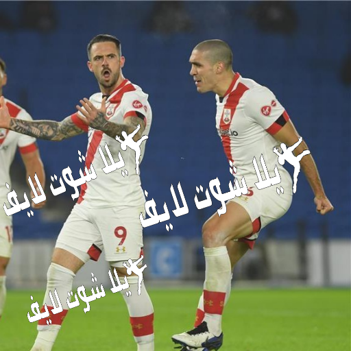 مباراة ساوثهامبتون ضد برايتون غداً 26/12/2022 مباراة ساوثهامبتون ضد برايتون غداً 26/12/2022