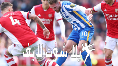موعد مباراة أرسنال أمام برايتون 31/12/2022
