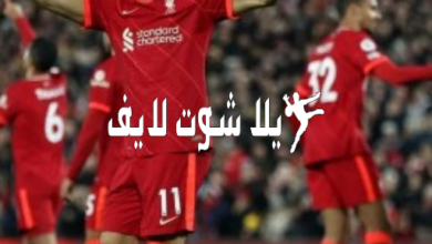 موعد مباراة ليفربول أمام برينتفورد 2/1/2023