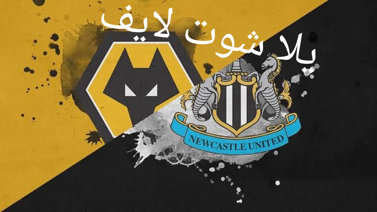 موعد مباراة نيوكاسل يونايتد أمام وولفرهامبتون موعد مباراة نيوكاسل يونايتد أمام وولفرهامبتون