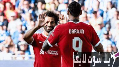 مشاهدة مباراة ليفربول أمام غرويتر فورت اليوم 24/7/2023